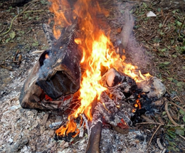 An image of a bonfire