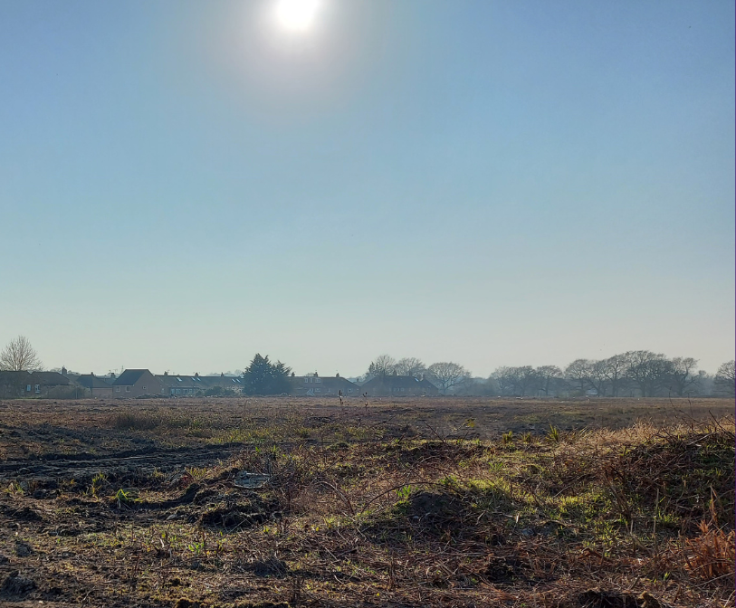 A photograph of the Biggins Wood site facing towards existing housing nearby.