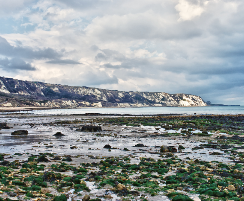 A view of The Warren in Folkestone taken from the beach.