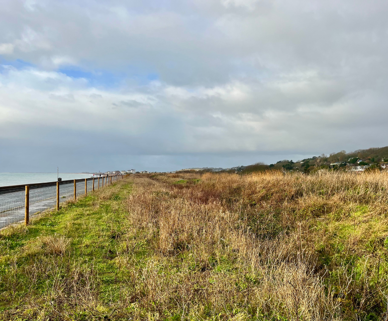 An image of the Princes Parade site with views of the grassland area besides the coast