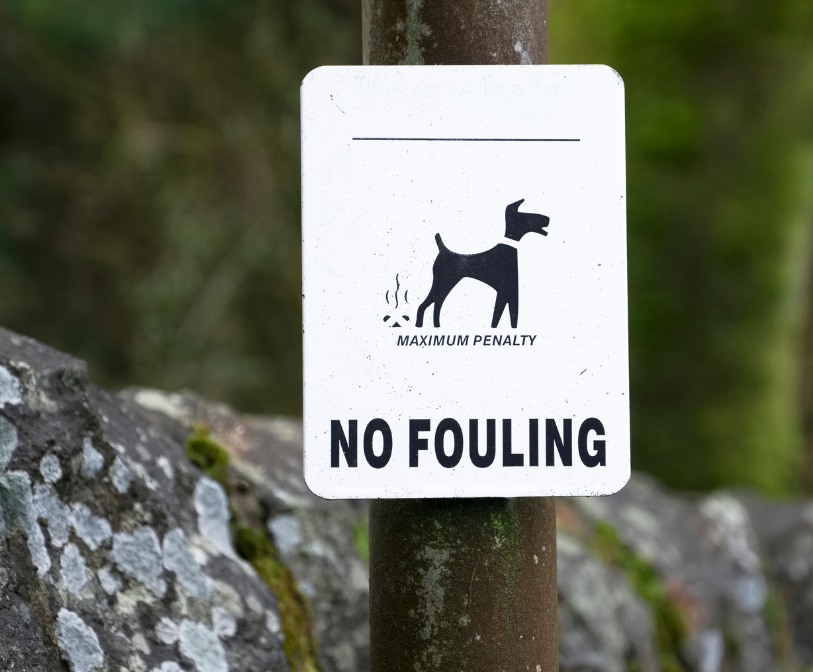 A photograph of a generic no dog fouling sign.