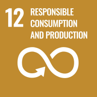 Responsible consumption and production 12
